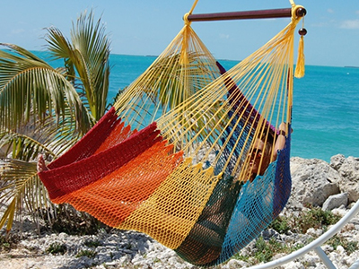 Cautiones ad usum hammocki.
