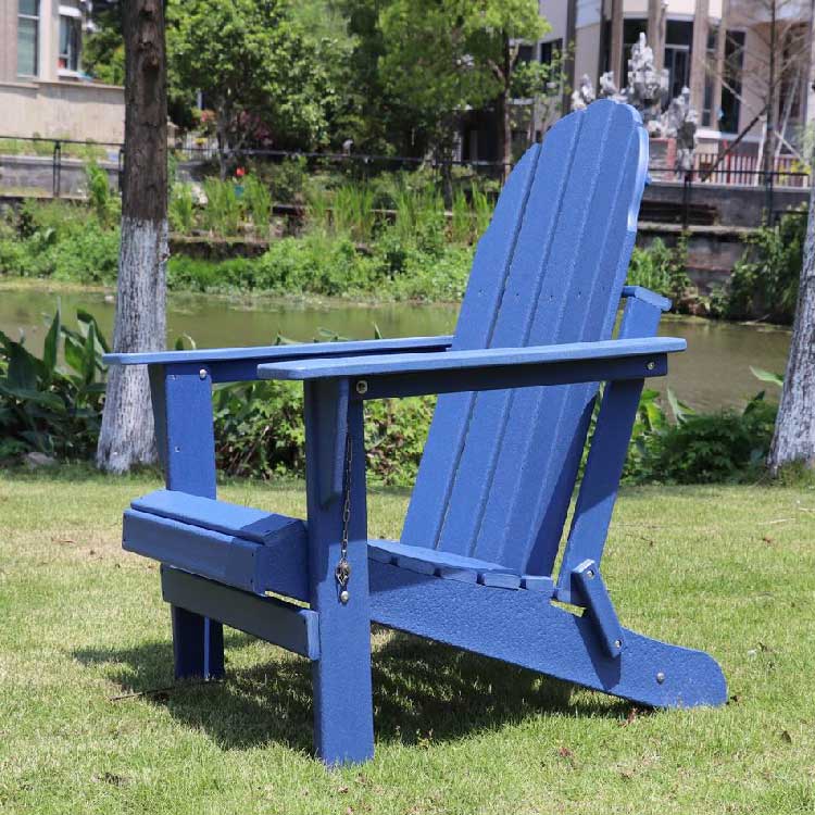 Cathedra tenens Adirondack